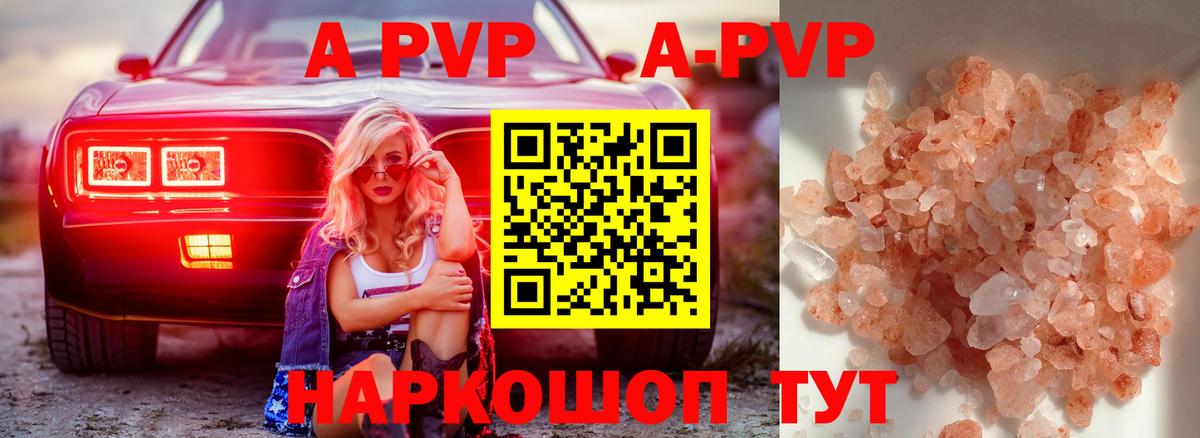 A PVP СК КРИС Махачкала