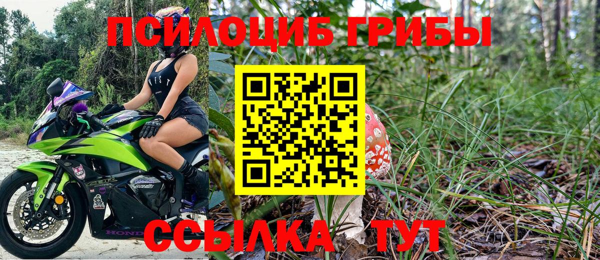 Махачкала  Псилоцибиновые грибы мухоморы  Псилоцибиновые грибы GOLDEN TEACHER  Вход с VPN 