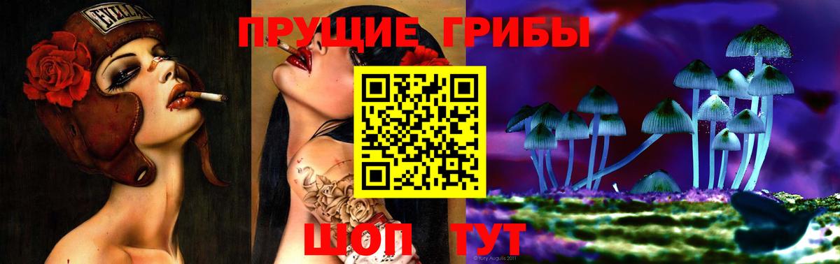 Галлюциногенные грибы Psilocybe Махачкала